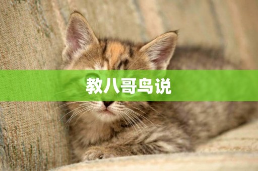 教八哥鳥說