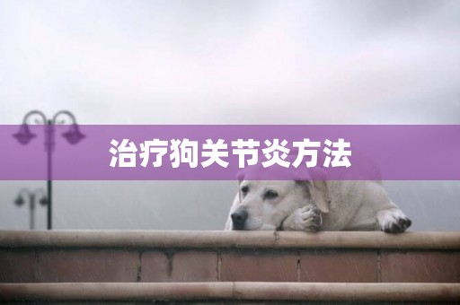 治療狗關節炎方法