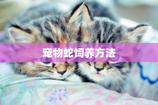 寵物蛇飼養方法