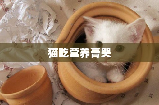 貓吃營養膏哭