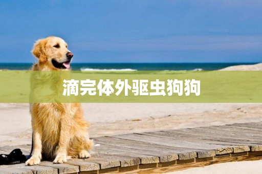 滴完體外驅蟲狗狗