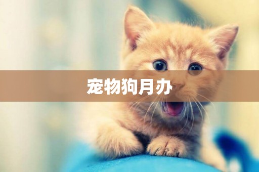 寵物狗月辦