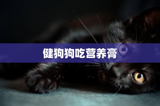 健狗狗吃營養膏