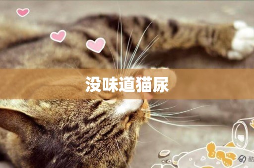 沒味道貓尿