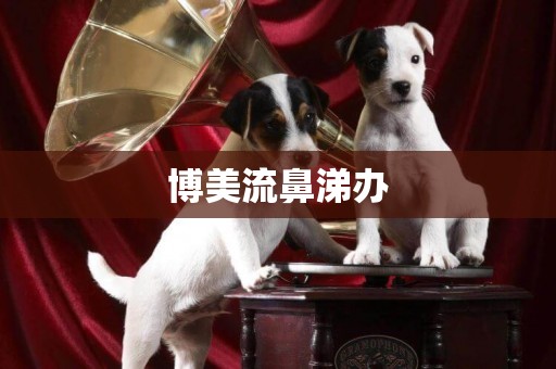 博美流鼻涕辦