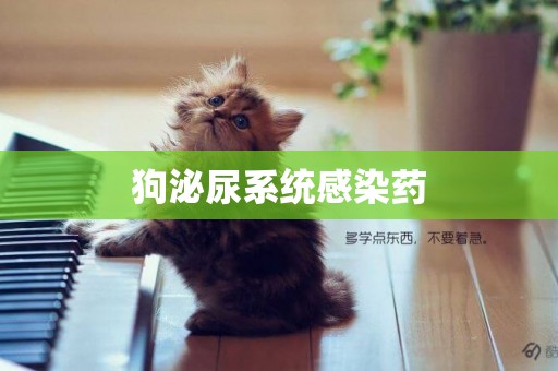 狗泌尿系統感染藥