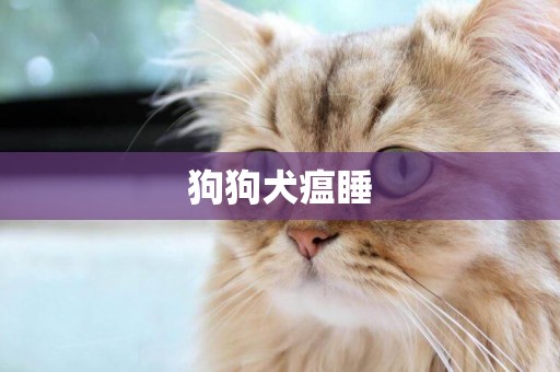狗狗犬瘟睡