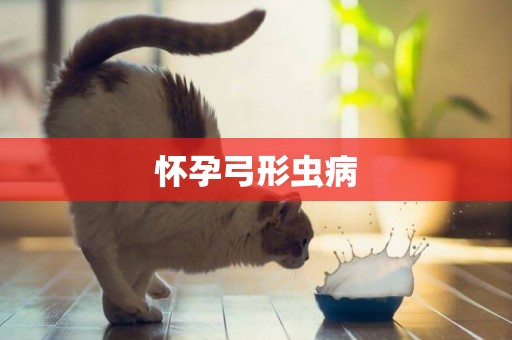 懷孕弓形蟲病