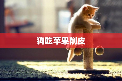 狗吃蘋果削皮