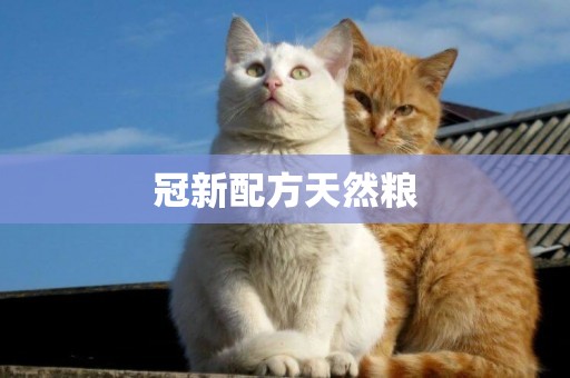 冠新配方天然糧