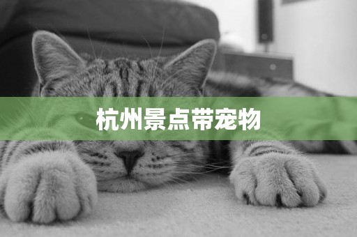 杭州景點帶寵物