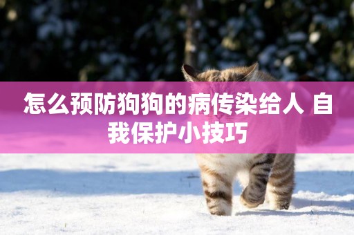 怎么預防狗狗的病傳染給人 自我保護小技巧