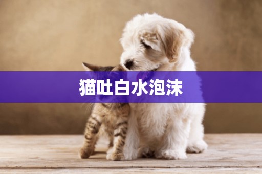 貓吐白水泡沫