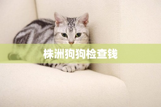 株洲狗狗檢查錢