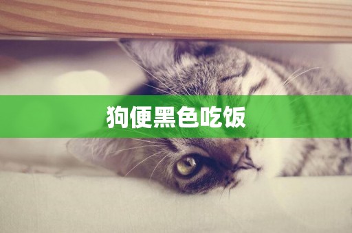 狗便黑色吃飯