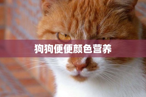 狗狗便便顏色營養