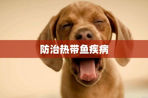 防治熱帶魚疾病