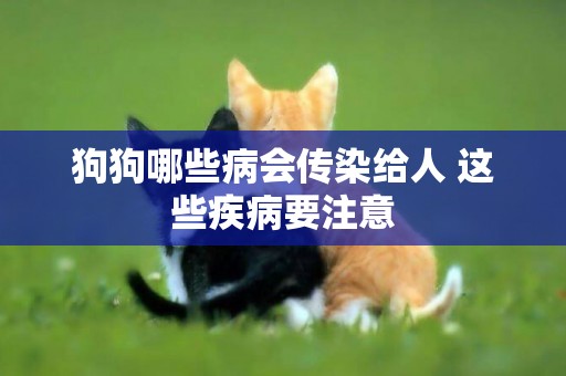 狗狗哪些病會傳染給人 這些疾病要注意