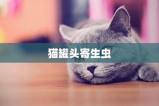 貓罐頭寄生蟲