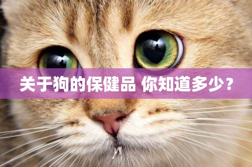 關于狗的保健品 你知道多少？