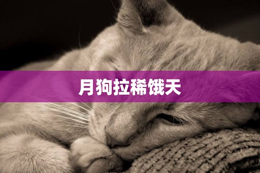 月狗拉稀餓天