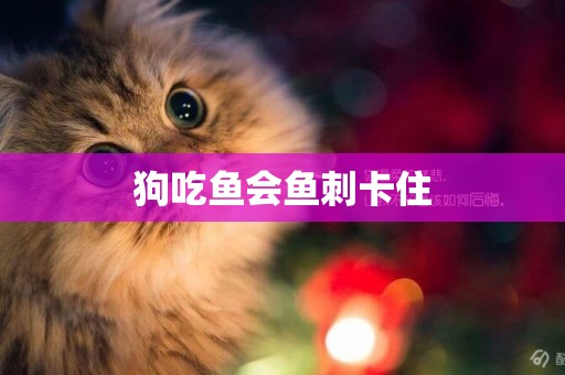 狗吃魚會魚刺卡住