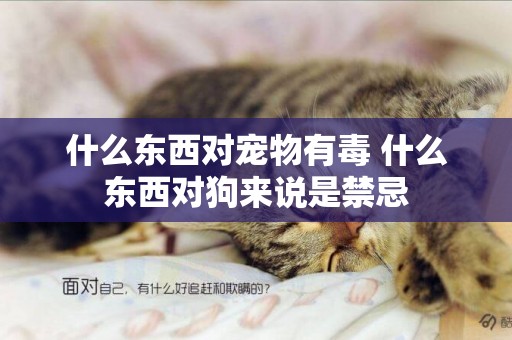 什么東西對寵物有毒 什么東西對狗來說是禁忌