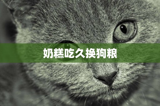 奶糕吃久換狗糧
