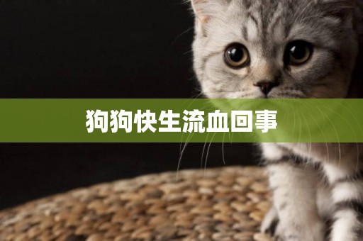 狗狗快生流血回事