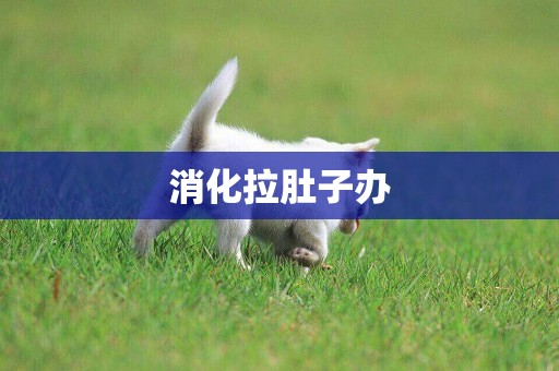 消化拉肚子辦