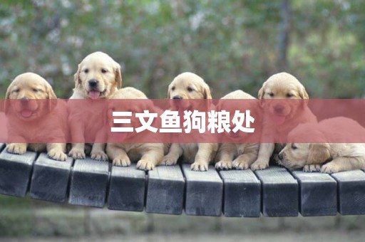 三文魚狗糧處