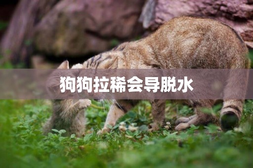 狗狗拉稀會導脫水