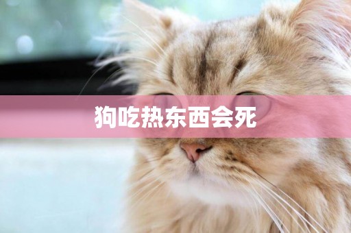 狗吃熱東西會死