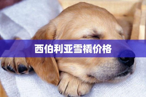 西伯利亞雪橇價格