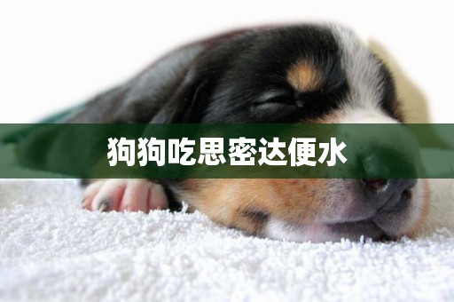 狗狗吃思密達便水