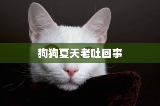 狗狗夏天老吐回事