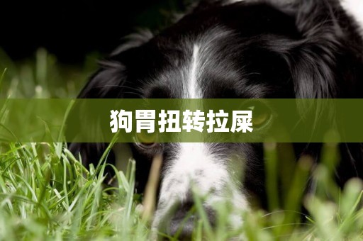 狗胃扭轉拉屎