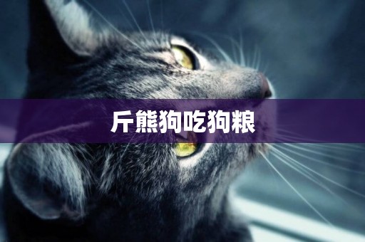 斤熊狗吃狗糧