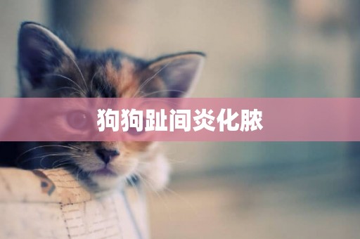 狗狗趾間炎化膿