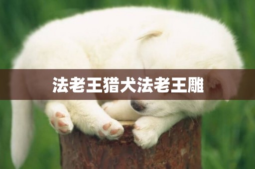 法老王獵犬法老王雕
