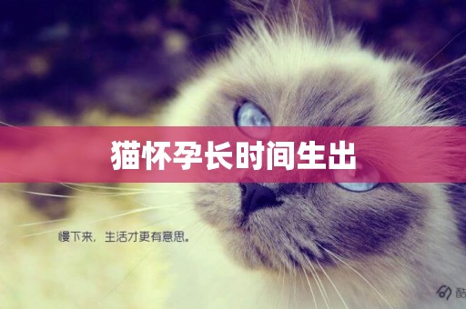 貓懷孕長時間生出