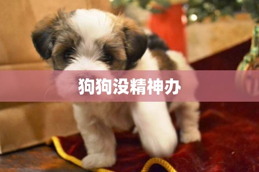 狗狗沒精神辦