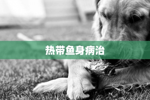 熱帶魚身病治