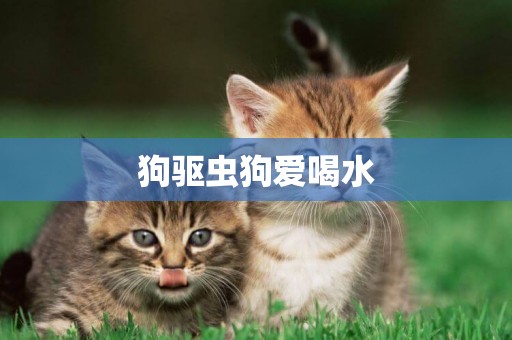 狗驅蟲狗愛喝水