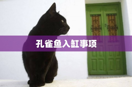 孔雀魚入缸事項