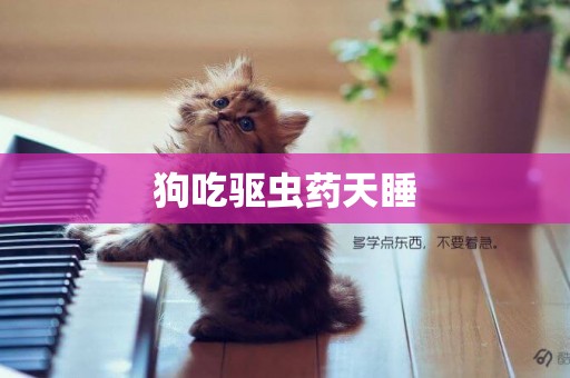 狗吃驅蟲藥天睡
