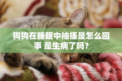 狗狗在睡眠中抽搐是怎么回事 是生病了嗎？