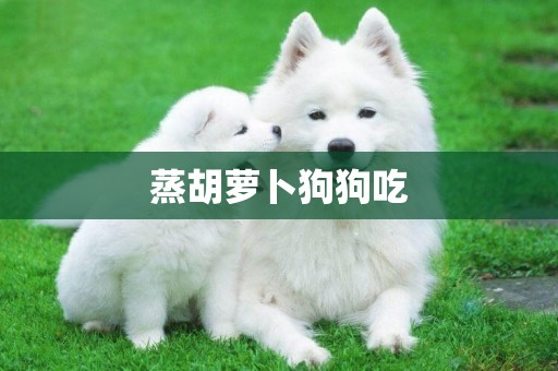 蒸胡蘿卜狗狗吃
