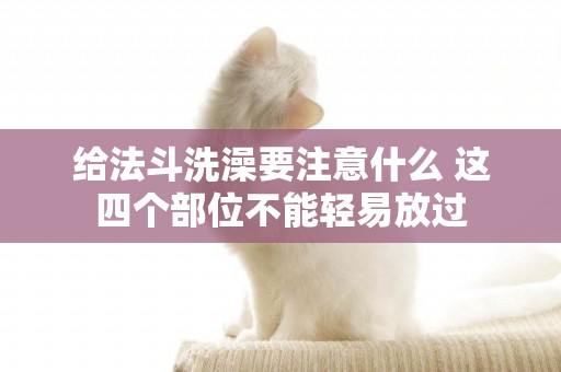 給法斗洗澡要注意什么 這四個部位不能輕易放過