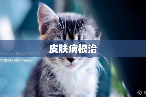 皮膚病根治